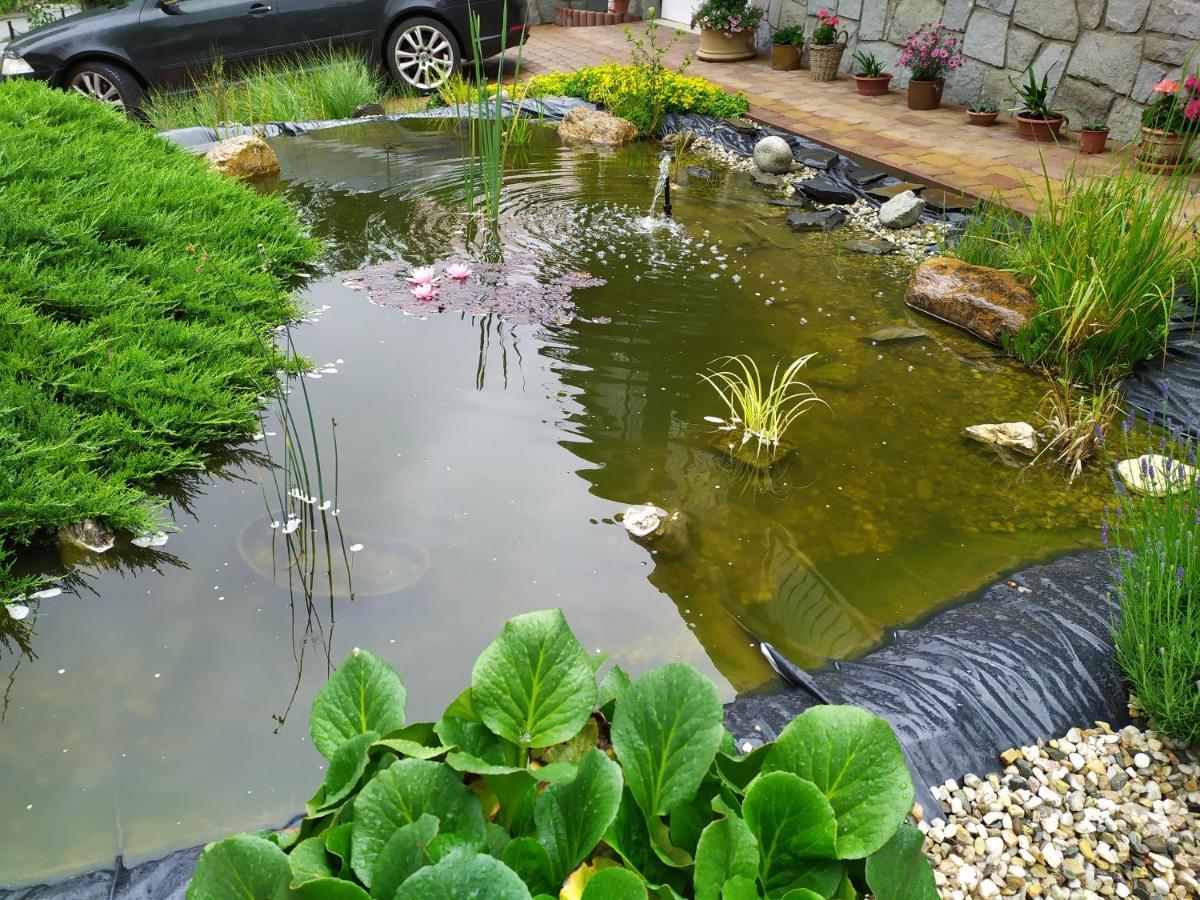 Ubytovani Iris Dolany  Exterior foto